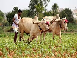 क्या भारत फिर कृषि प्रधान बनेगा?